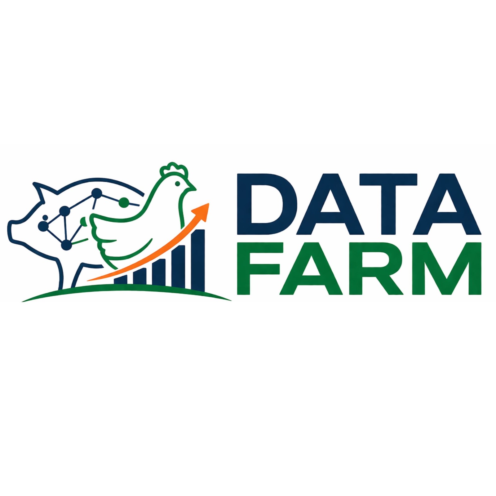 DataFarm